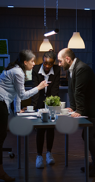 Consultancy Integration & Culture